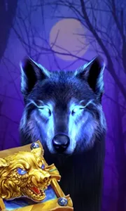 Book Of The Night Wolf